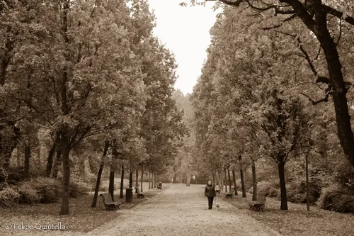 The centennial park in Brussels