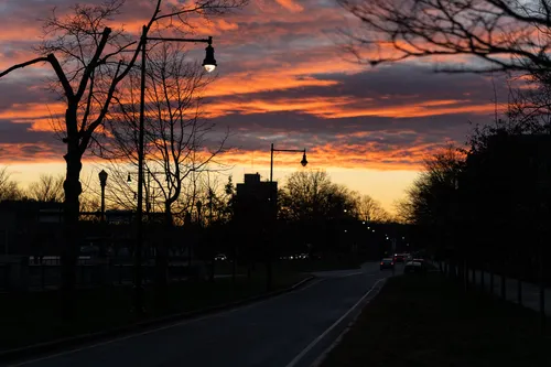 20201206-161228_DSC01395.jpg