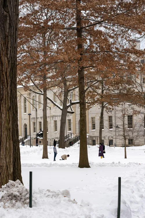 20201220-134326_DSC02200-4.jpg