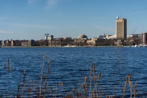 20201227-120323_DSC02300.jpg