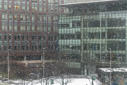 20210207-123243_DSC02465.jpg