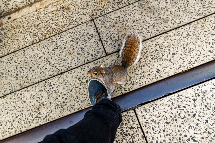 Parks/20181201-100901_DSC08317.jpg