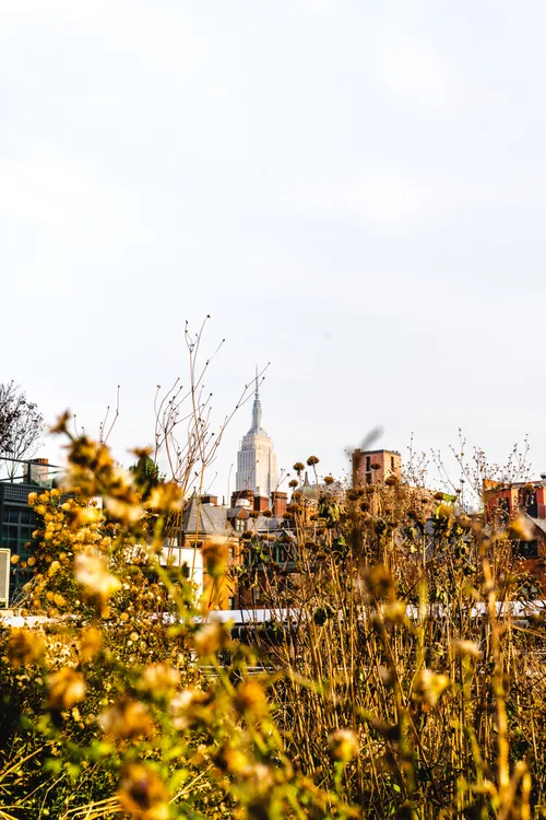 Parks/20181201-133329_DSC08386.jpg