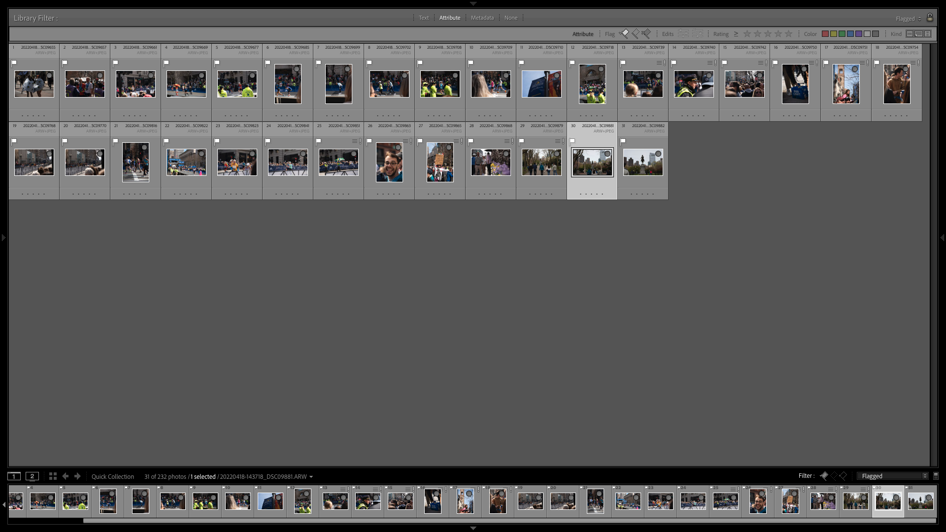 Lightroom on Mac showing a folder with flagged photos only
