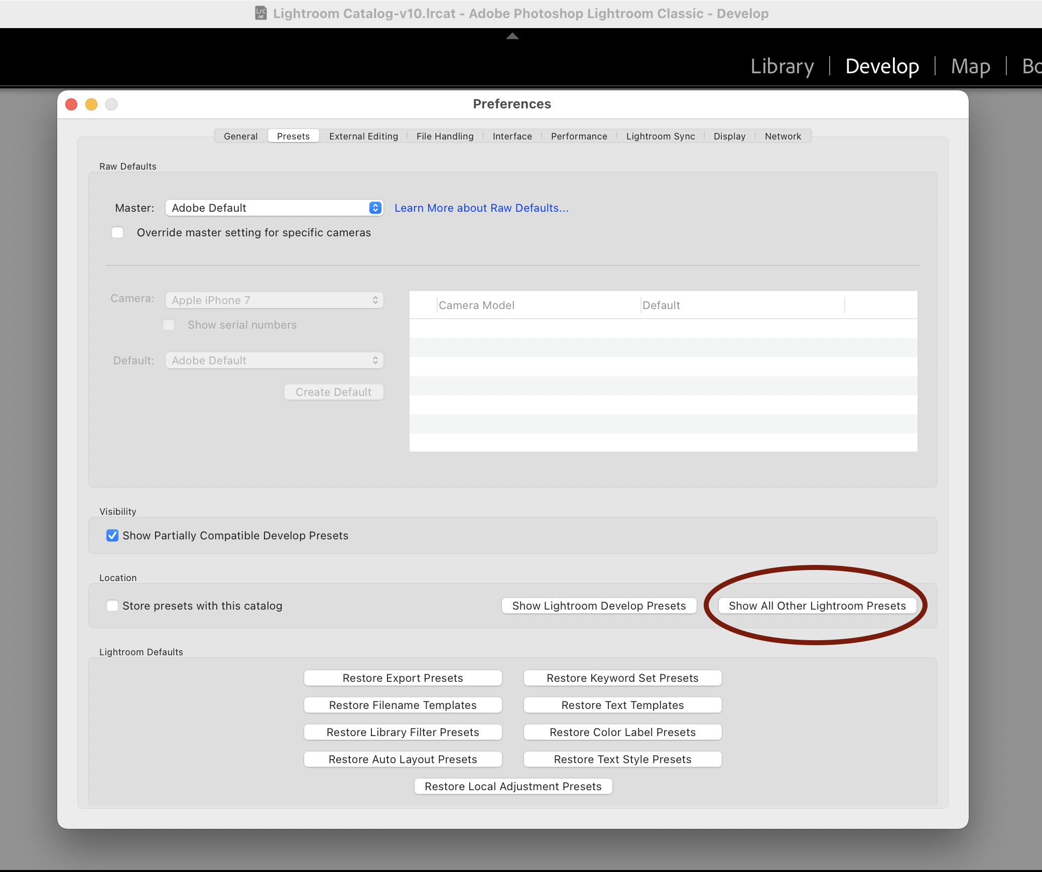 Screenshot of a Ligthroom preferences window